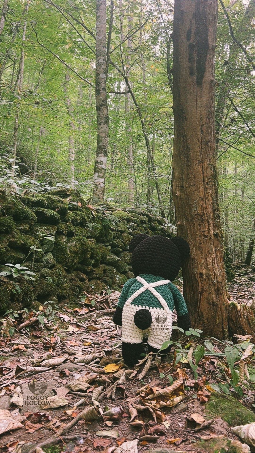 Micky the Wanderin' Mountain Bear