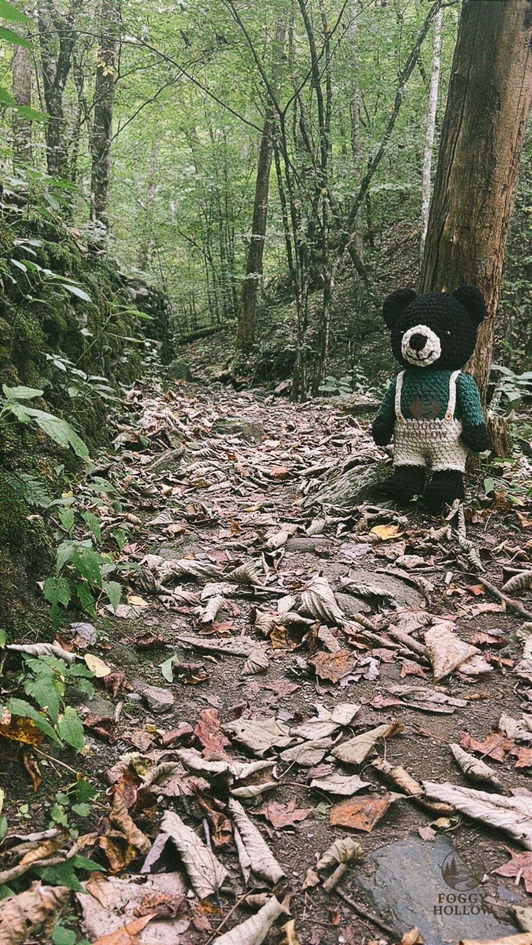 Micky the Wanderin' Mountain Bear