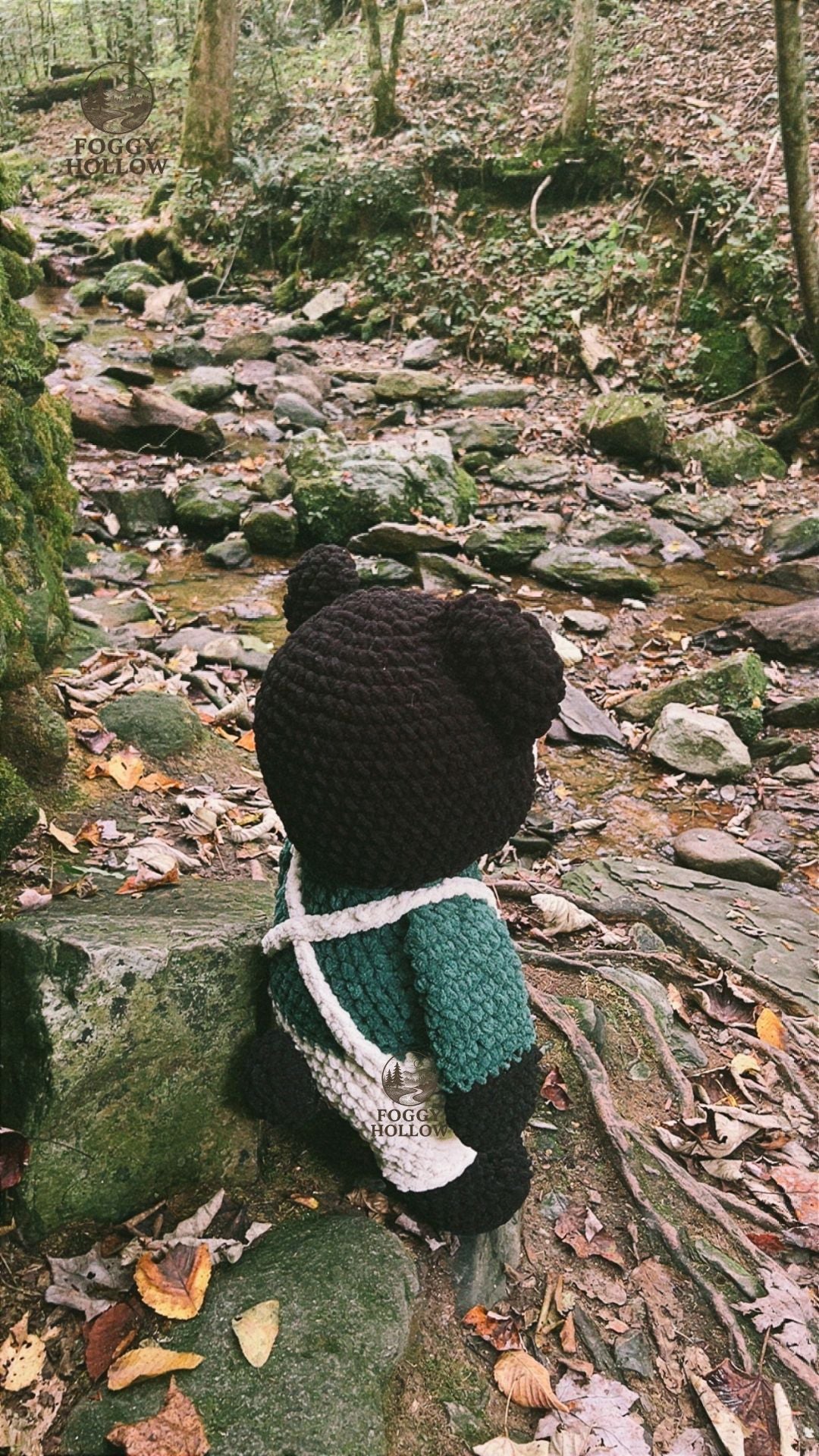 Micky the Wanderin' Mountain Bear