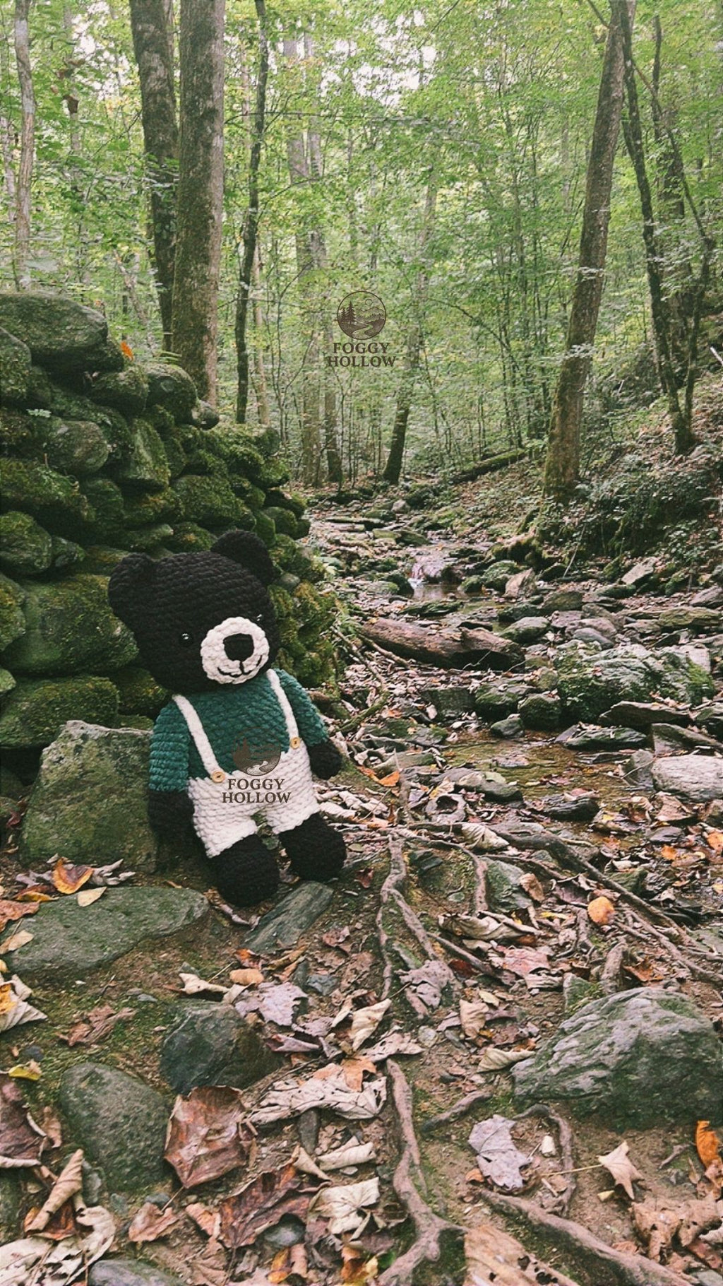 Micky the Wanderin' Mountain Bear